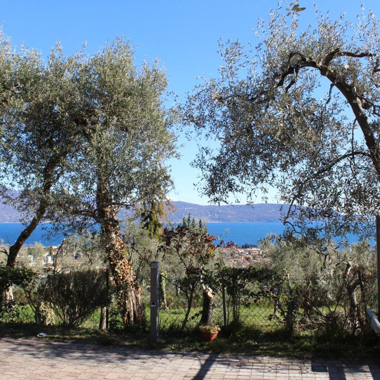 Relax in the Olive Grove - Appartamento con 1 Camera da Letto - 7