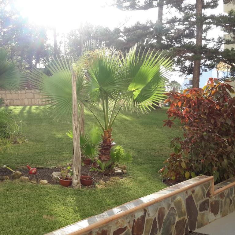 Lovely 1-bedroom apartment with a big terrace, Las Americas, Tenerife - Apartamento - 35