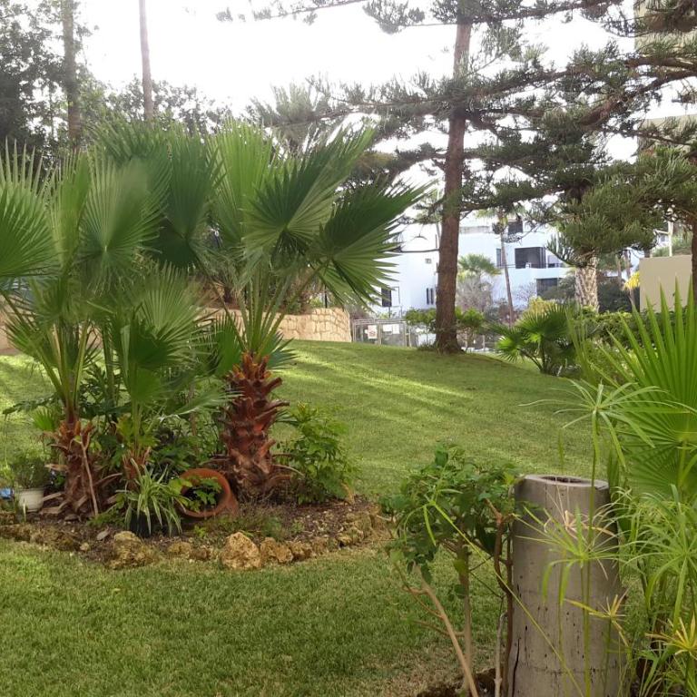 Lovely 1-bedroom apartment with a big terrace, Las Americas, Tenerife - Apartamento - 36
