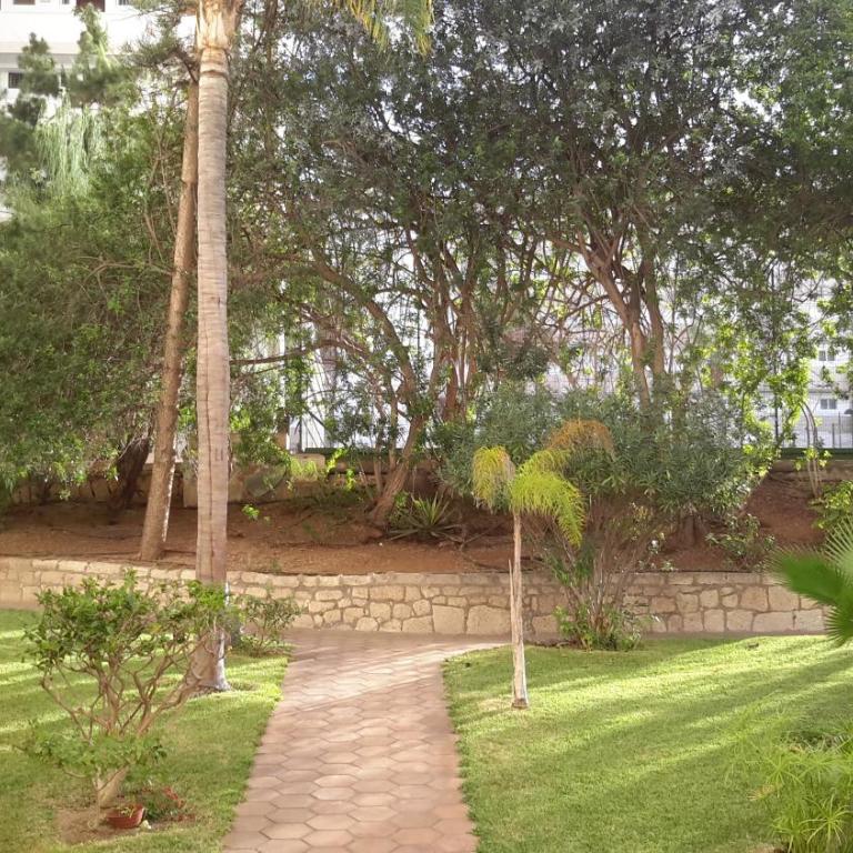 Lovely 1-bedroom apartment with a big terrace, Las Americas, Tenerife - Apartamento - 37