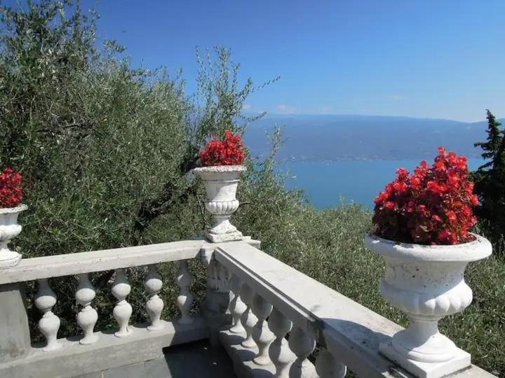 Villa Pinetina - Villa 1 Chambre - 42