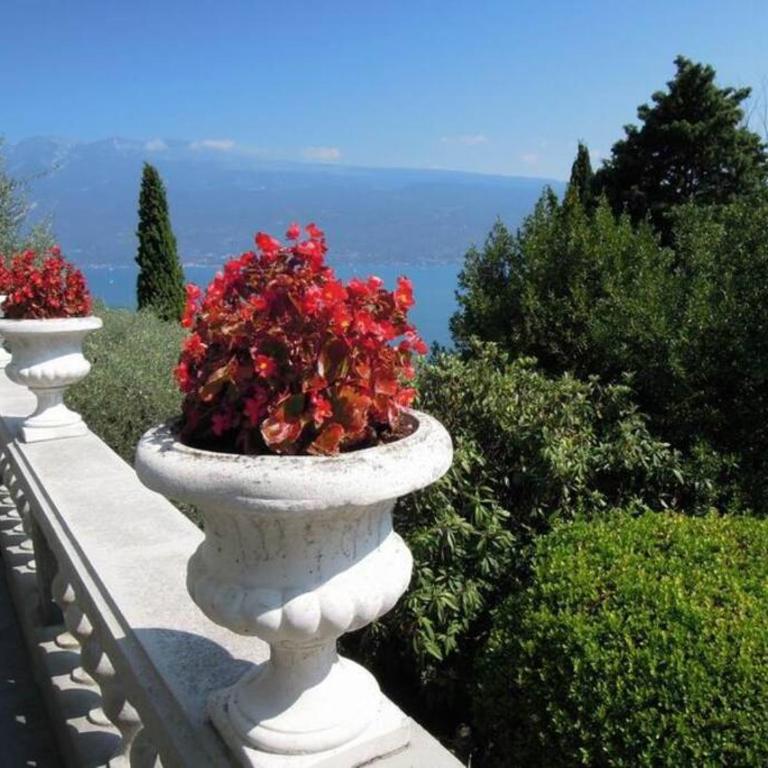 Villa Pinetina - Villa 1 Chambre - 43