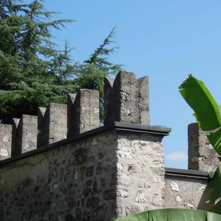 Villa Pinetina - Villa 1 Chambre - 56