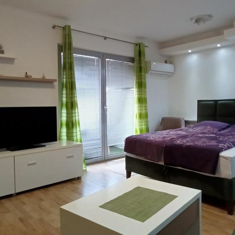 Despot 105 - One-Bedroom Apartment - 1