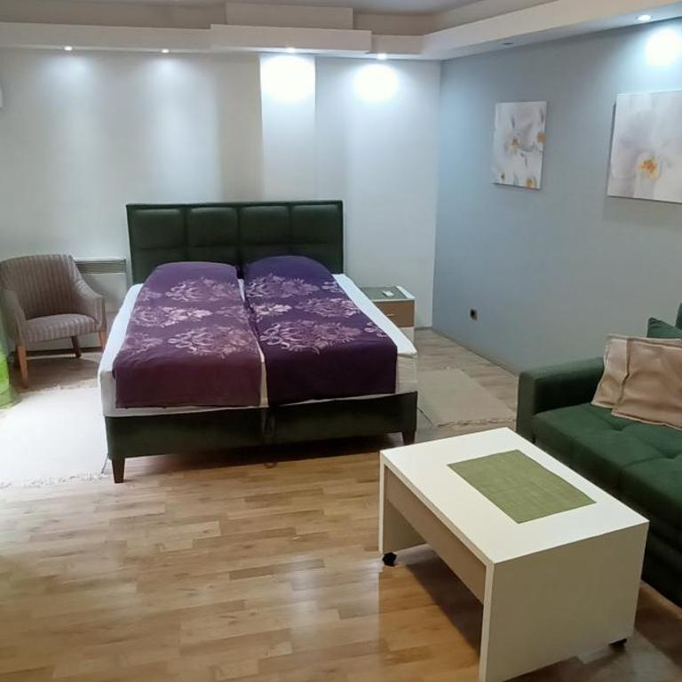 Despot 105 - One-Bedroom Apartment - 3