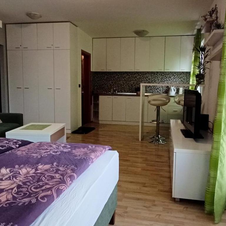 Despot 105 - One-Bedroom Apartment - 4