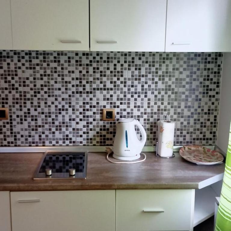 Despot 105 - One-Bedroom Apartment - 9