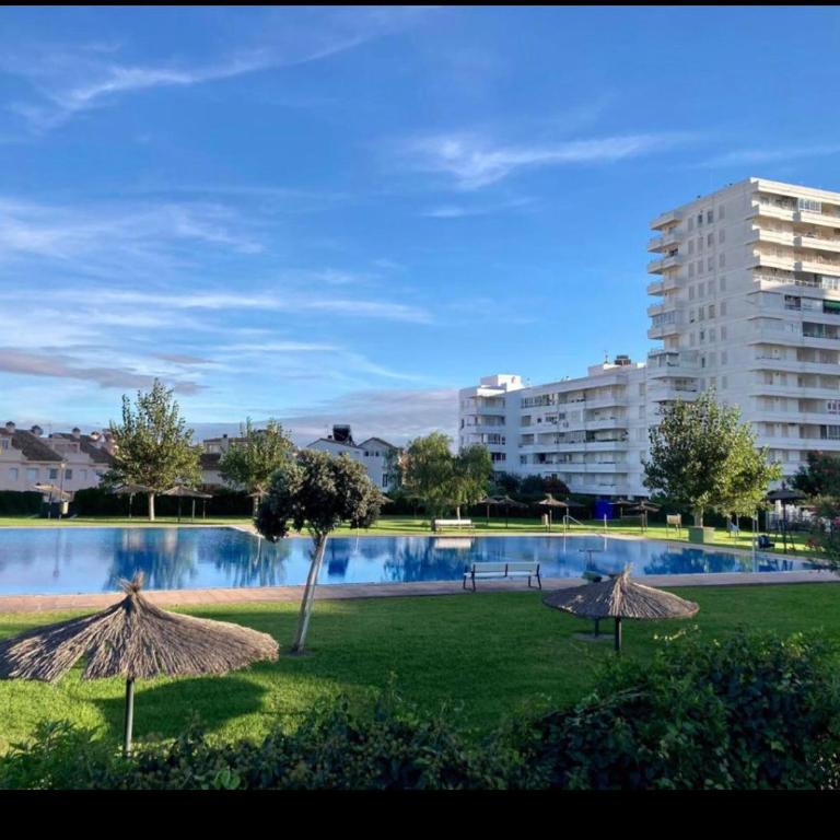 Frente al mar, preciosas vistas, piscinas , valdelagrana - Apartamento de 1 dormitorio - 37
