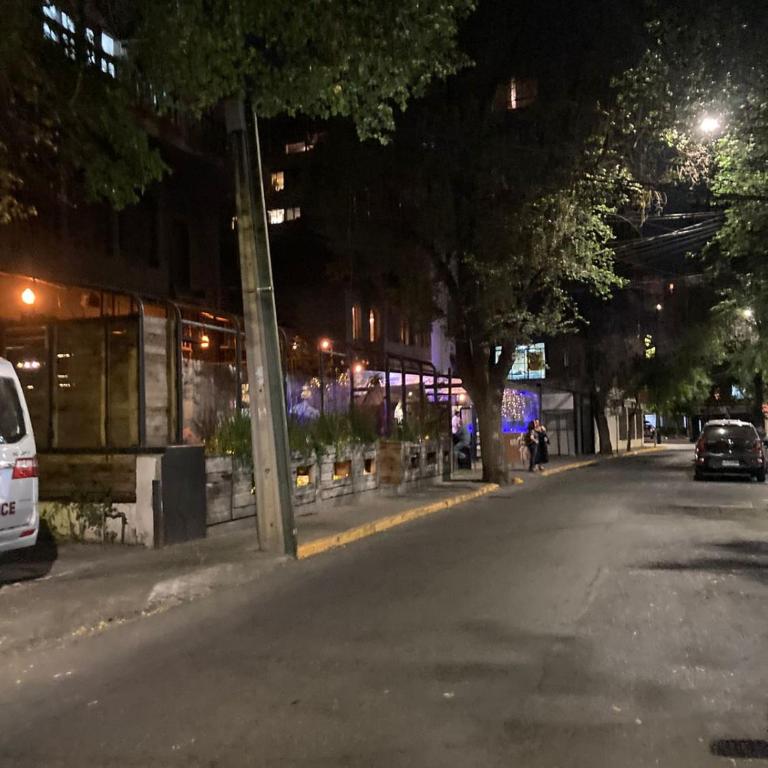 Depa Providencia, barrio historico, Metro Manuel Montt - Apartamento de 1 dormitorio - 7