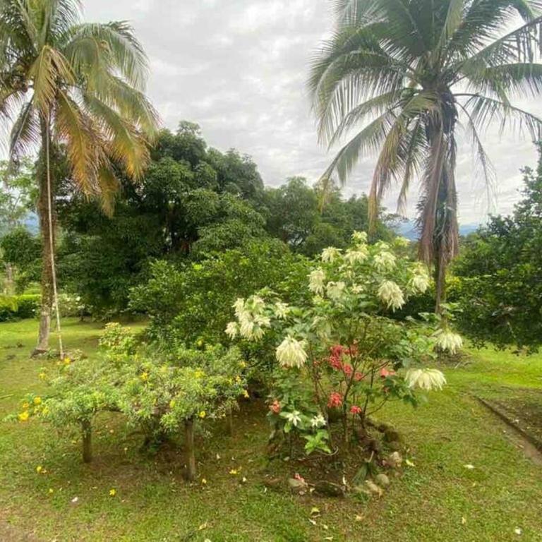 FINCA EL PORVENIR - Villa de 3 dormitorios - 29