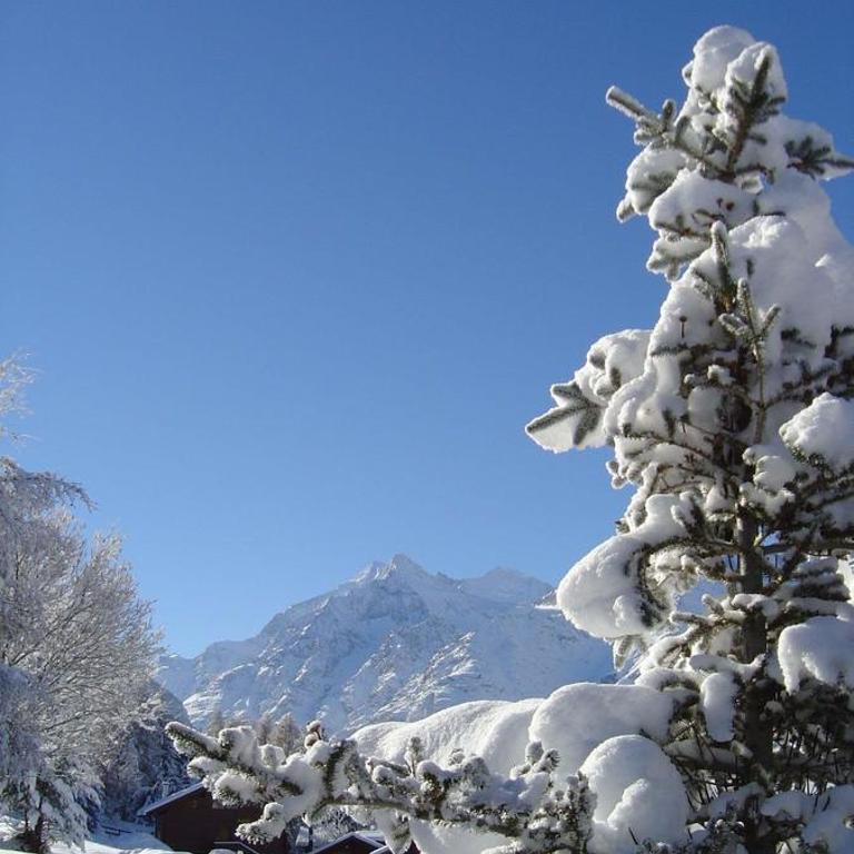 Chalet Valerie - Apartment with Mountain View - 11