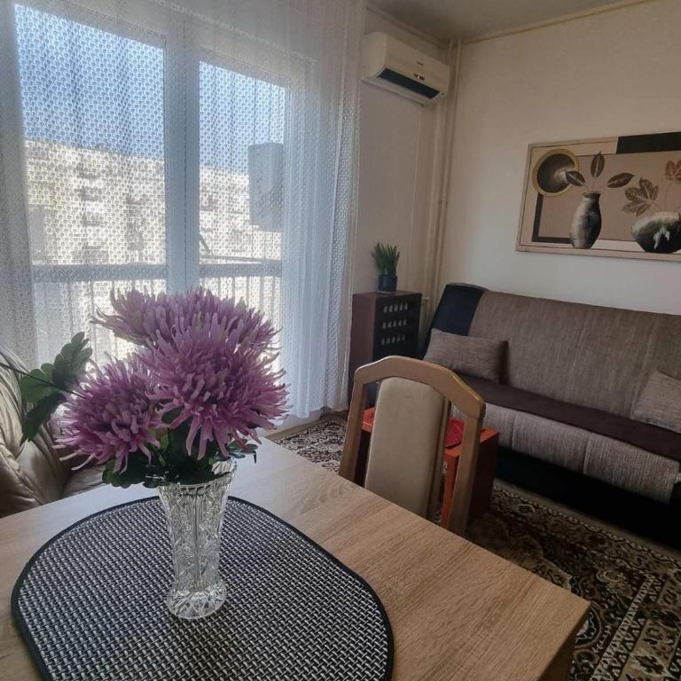 Apartment Dorcol Belgrade - Studio Apartman - 1