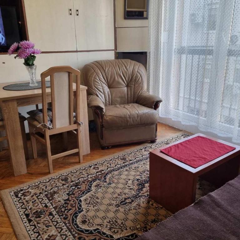 Apartment Dorcol Belgrade - Studio Apartman - 6