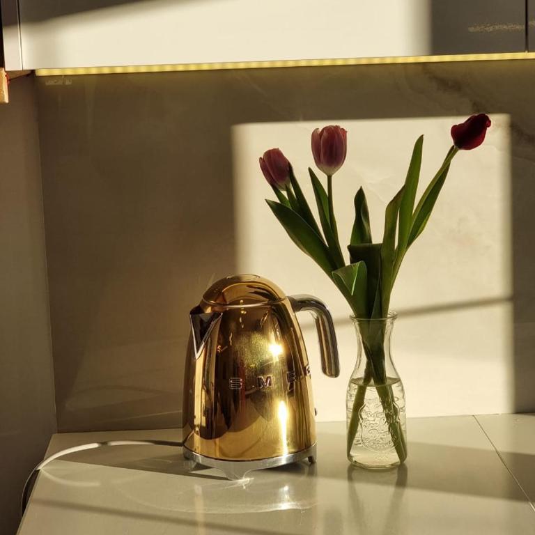 Villa with Pool & Garden apartment 2 Vuk - Two-Bedroom Apartment - 37