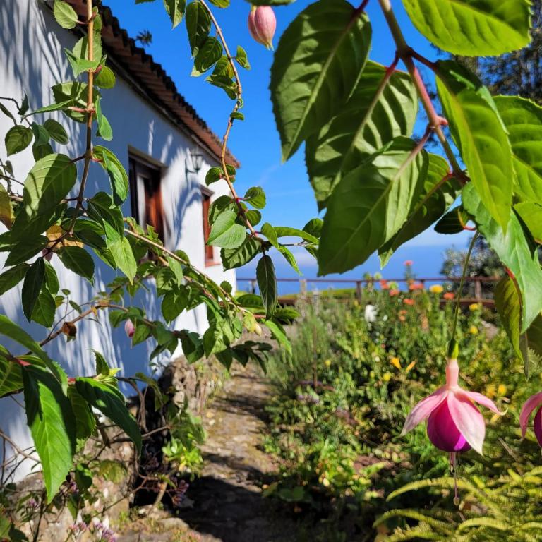 Finca Llano de la cebolla - Casa de 2 dormitorios - 28