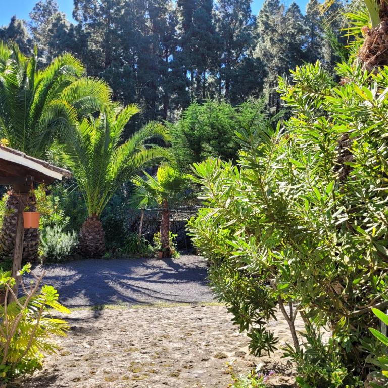 Finca Llano de la cebolla - Casa de 2 dormitorios - 29