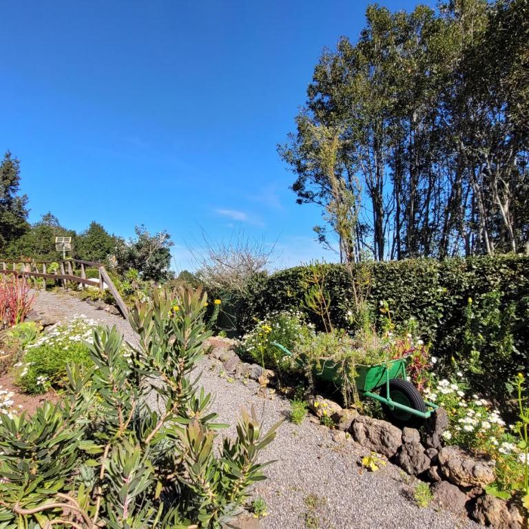 Finca Llano de la cebolla - Casa de 2 dormitorios - 37