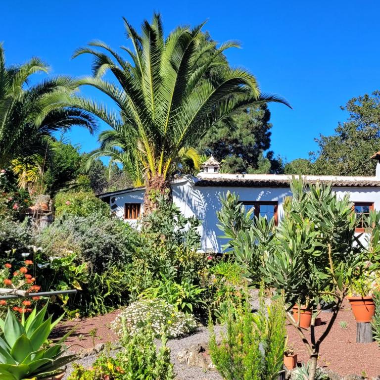 Finca Llano de la cebolla - Casa de 2 dormitorios - 44