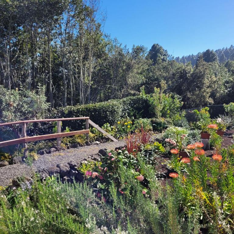 Finca Llano de la cebolla - Casa de 2 dormitorios - 46