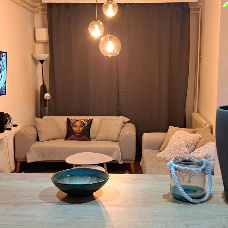 Apartman La Vida - Apartman sa 1 Spavaćom Sobom - 12