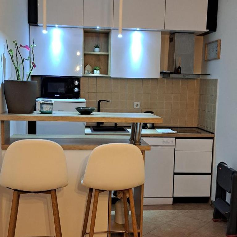 Apartman La Vida - Apartman sa 1 Spavaćom Sobom - 27
