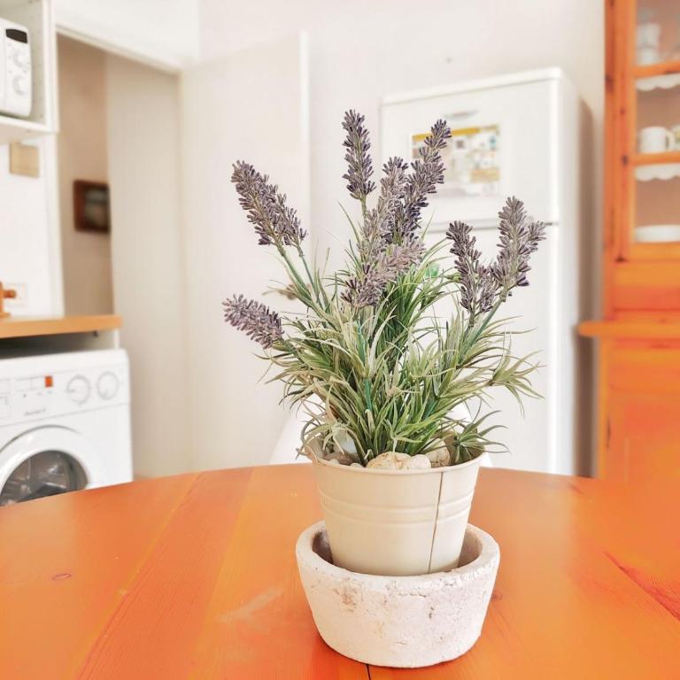 Apartamento Mila Cala Montgó by VACAY L'Escala - Apartamento de 2 dormitorios - 14