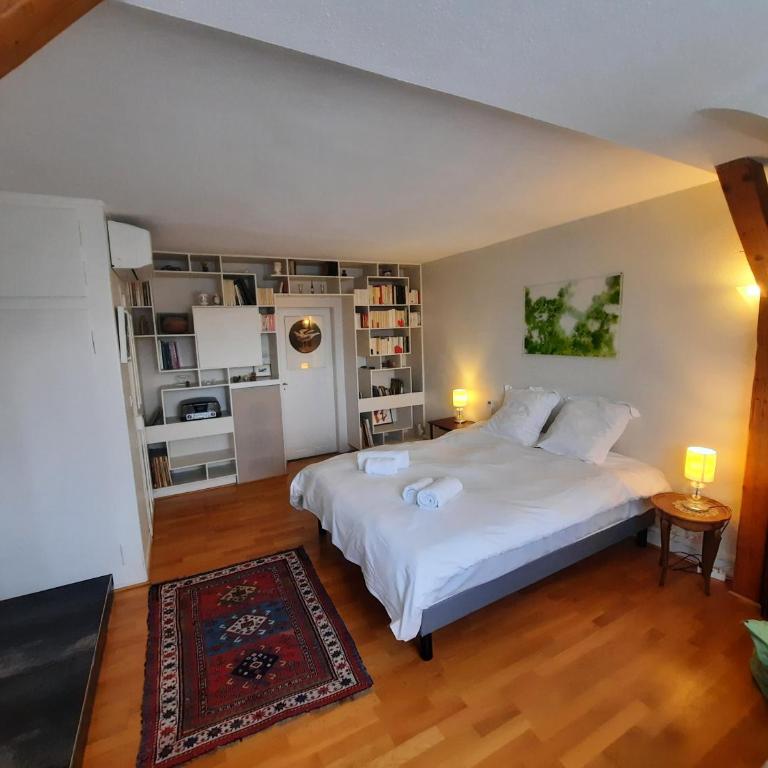 145m² city center 4 bedrooms view of the Cathedral - Appartement - 36