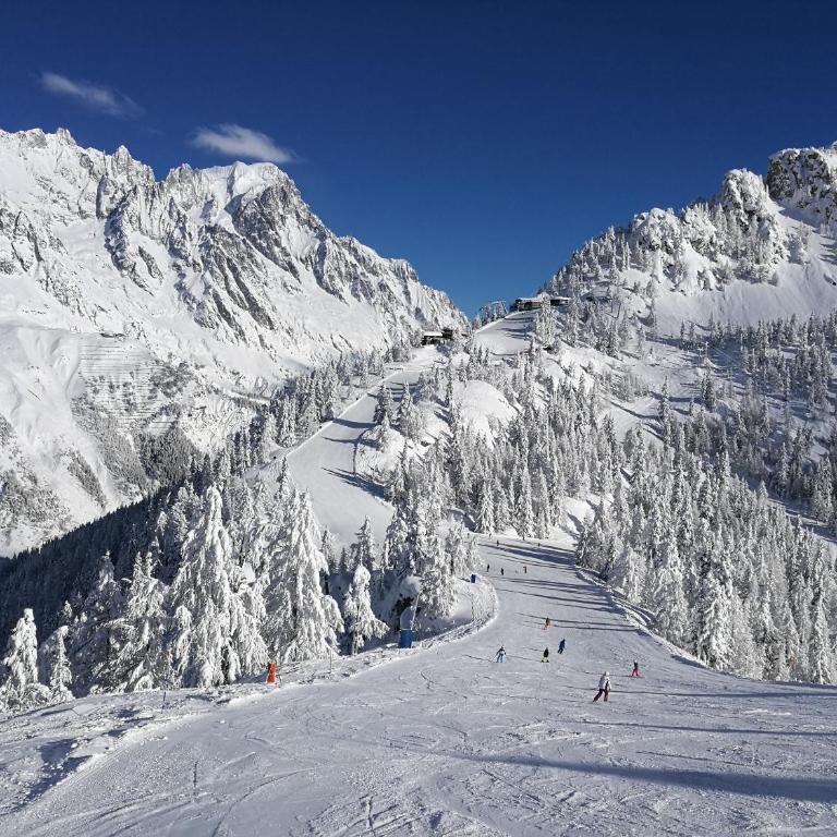 La maison des Guides - trilocale a 500 mt dalle piste di Dolonne - Appartamento - 53