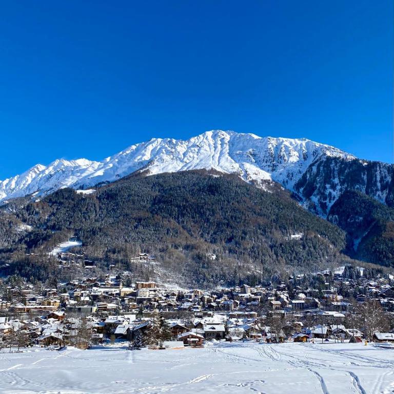 La maison des Guides - trilocale a 500 mt dalle piste di Dolonne - Appartamento - 41