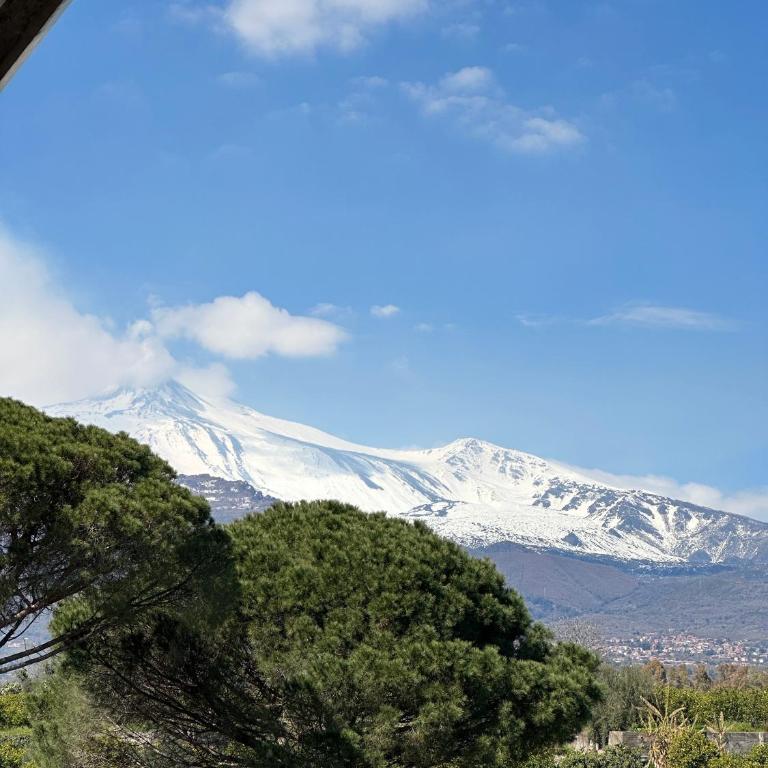 La pigna delle Aci Apartment - Appartamento con 3 Camere da Letto - 54
