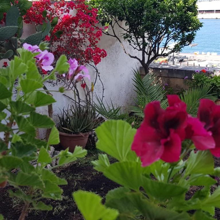 La Casa Sul Porto - Appartamento con 1 Camera da Letto - 5