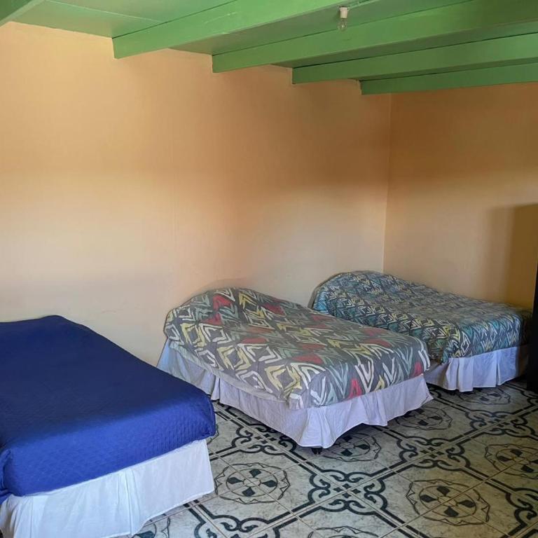 Hostal Tuyasto - Quadruple Room with Garden View - 2
