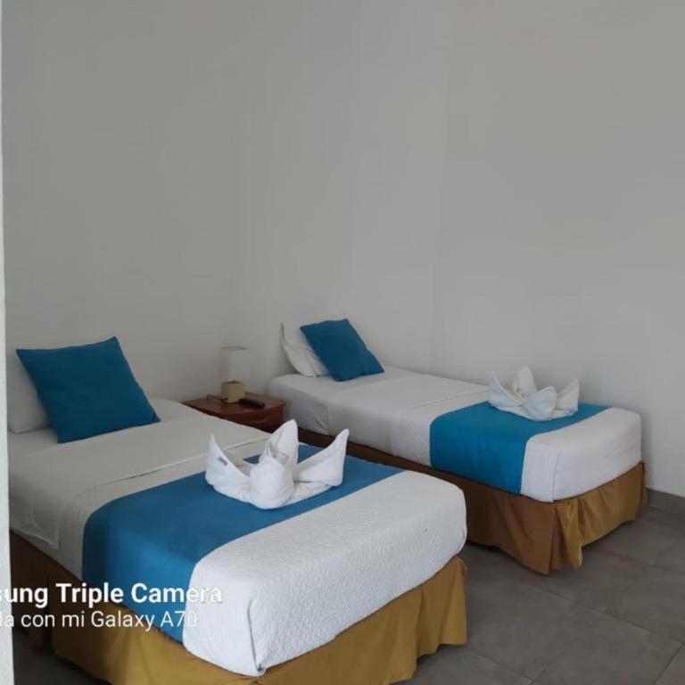 Galapagos Native - Twin Room with Balcony - 20