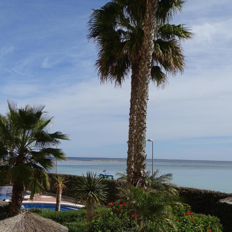 P Cormoran 1161 - Apartamento con vistas al mar - 7