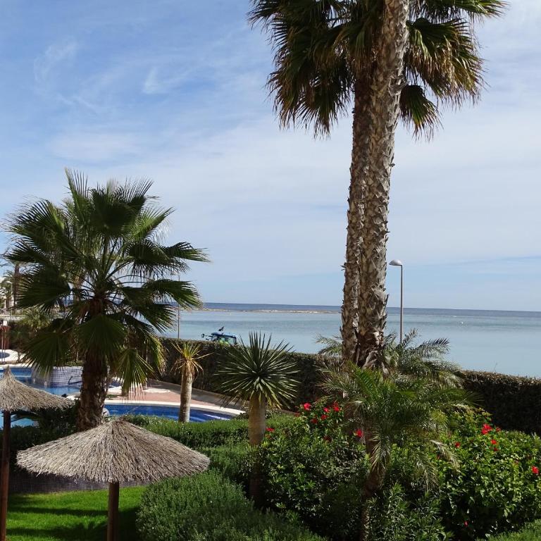 P Cormoran 1161 - Apartamento con vistas al mar - 46