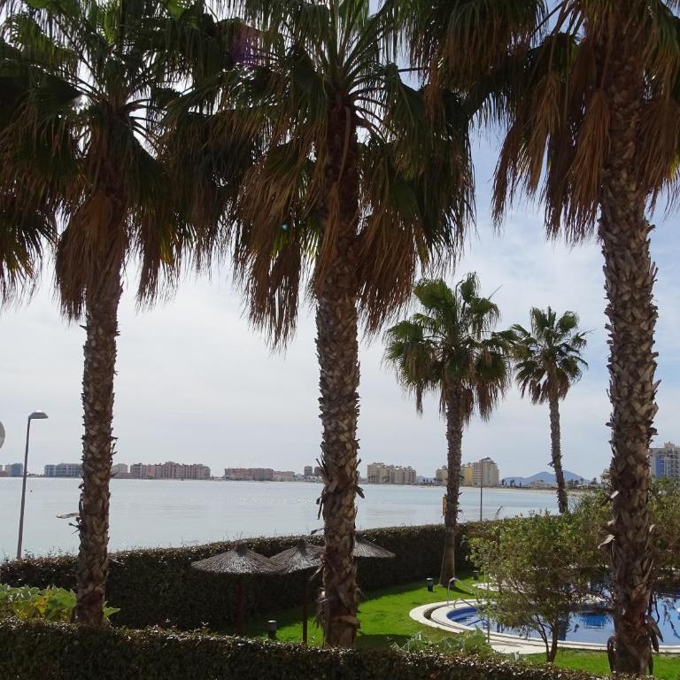 P Cormoran 1161 - Apartamento con vistas al mar - 47