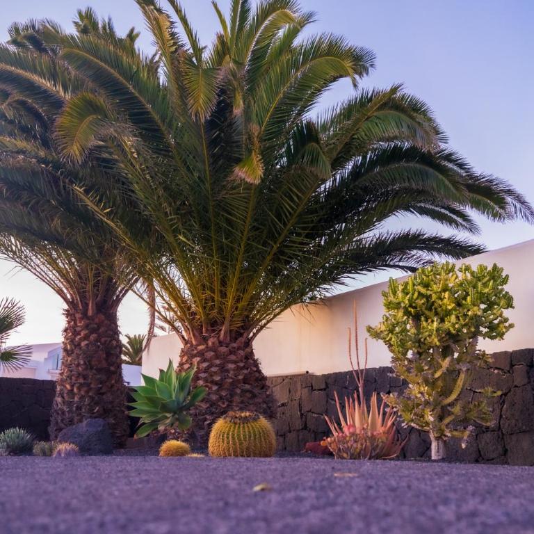 Dias Felices - heated pool - Villa de 3 dormitorios - 32