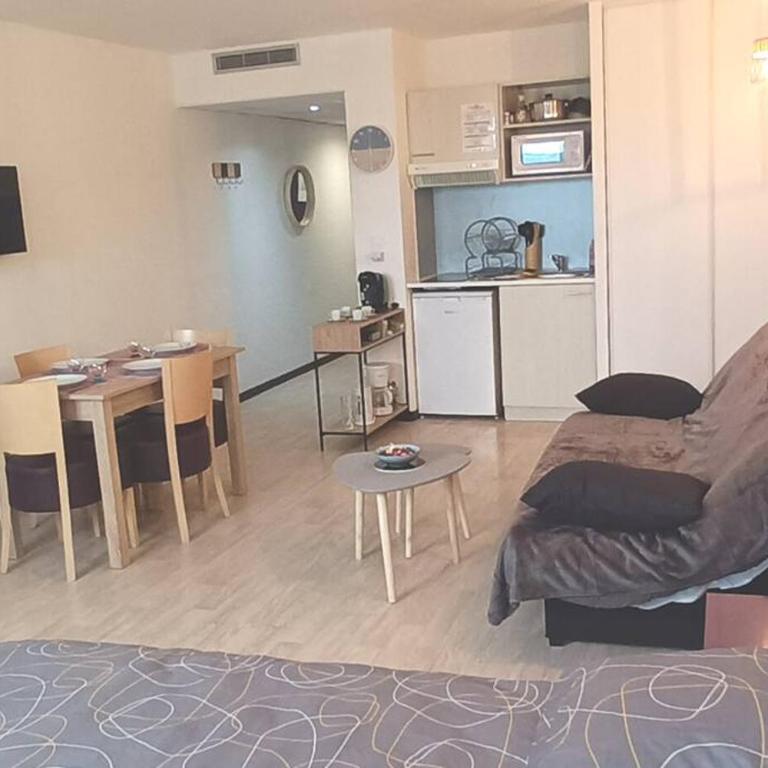 Lourdes grand studio classé 2 étoiles de 1 à 4 personnes - Apartamento de 1 dormitorio - 1