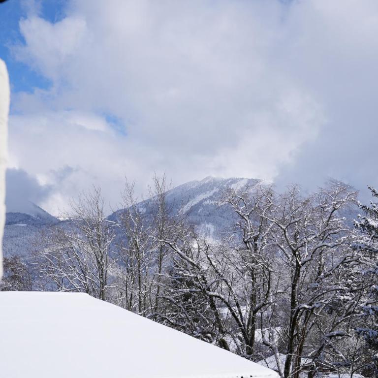 Bergblick 411 am Wolfgangsee - Apartment with Mountain View - 44