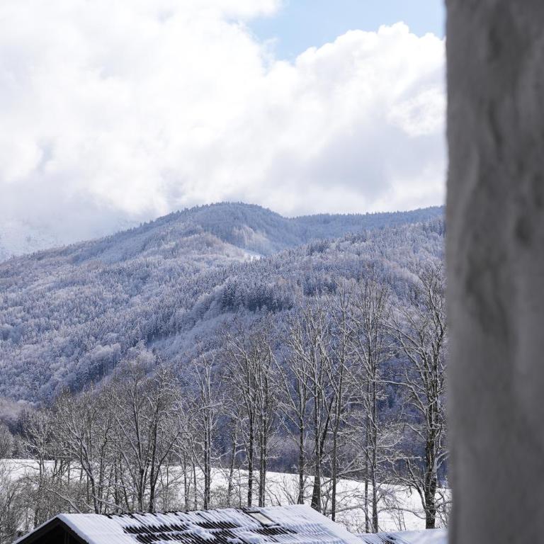 Bergblick 411 am Wolfgangsee - Apartment with Mountain View - 34