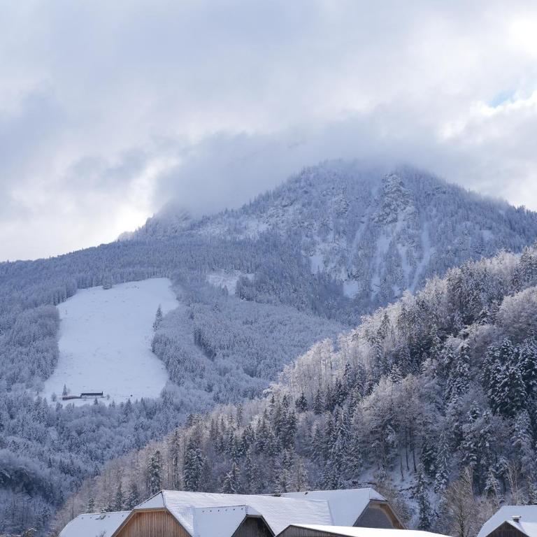 Bergblick 411 am Wolfgangsee - Apartment with Mountain View - 40