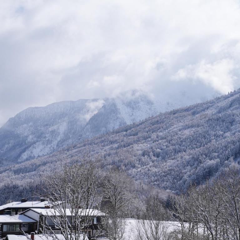 Bergblick 411 am Wolfgangsee - Apartment with Mountain View - 50