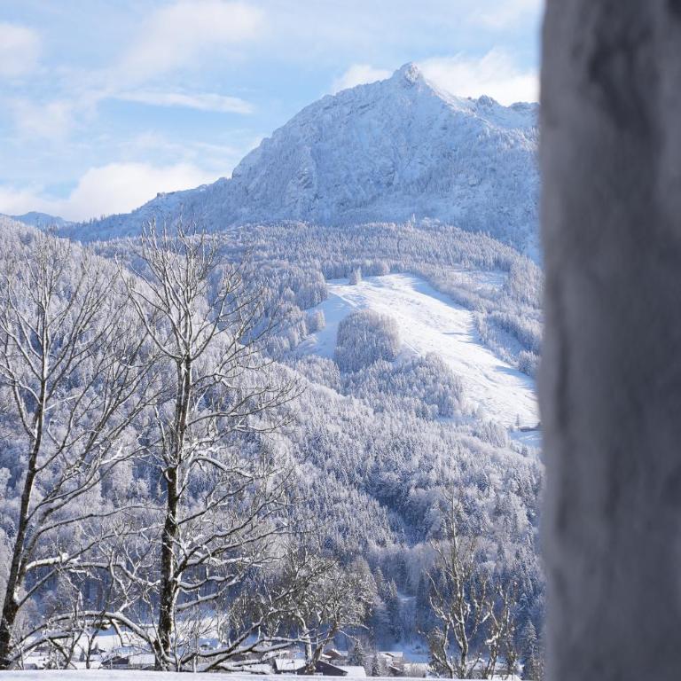 Bergblick 411 am Wolfgangsee - Apartment with Mountain View - 52