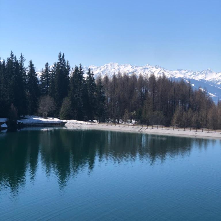 Magnifique résidence à quelques pas des remontées mécaniques et centre Montana - Appartement - 43