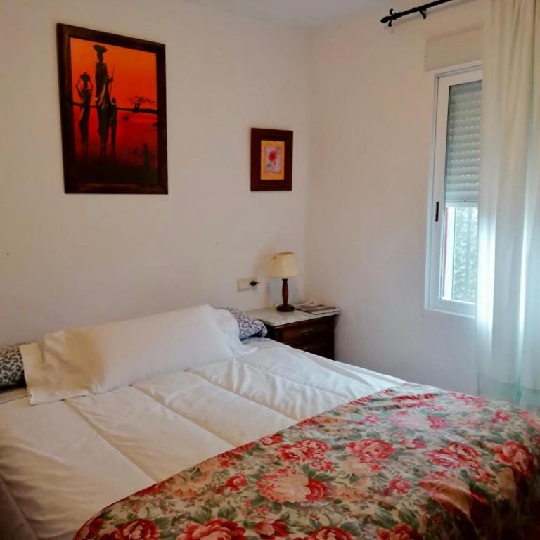Casa el Acebuche - Casa de 4 dormitorios - 17