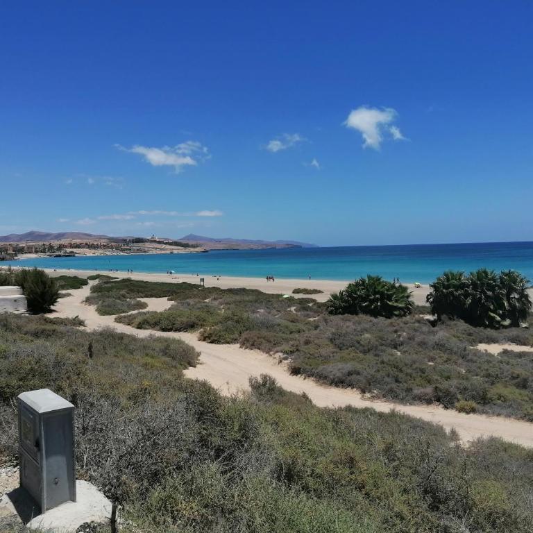 Castillo Mar- Casa Martini - One-Bedroom Apartment - 68