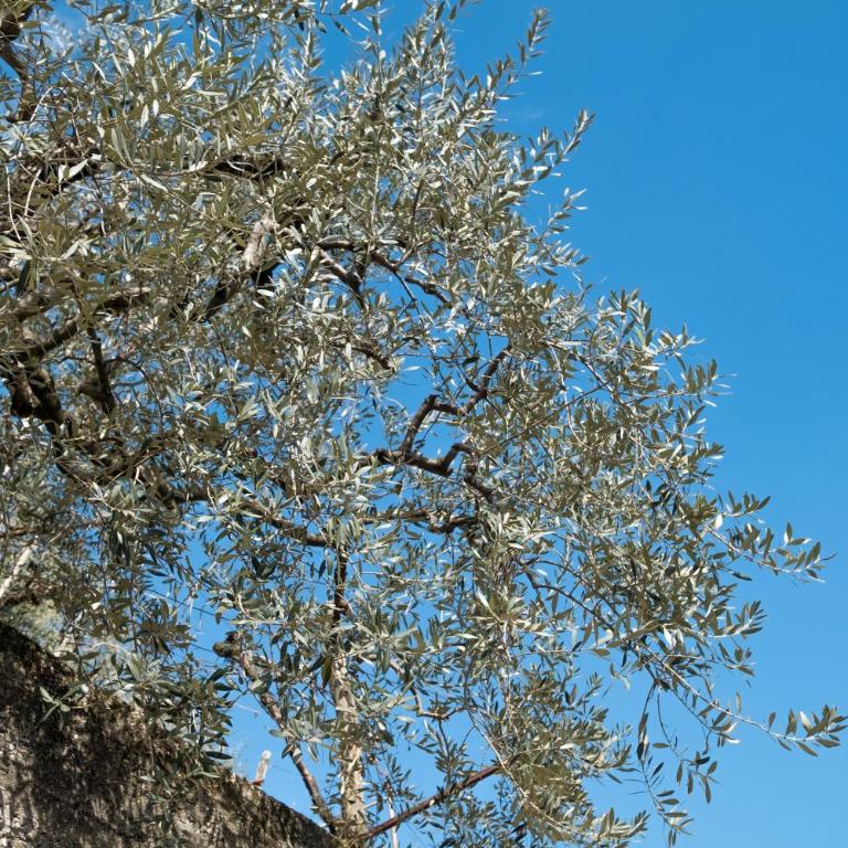 Ca' Del Jago Sole Luna apartment - Appartamento con 1 Camera da Letto - 25