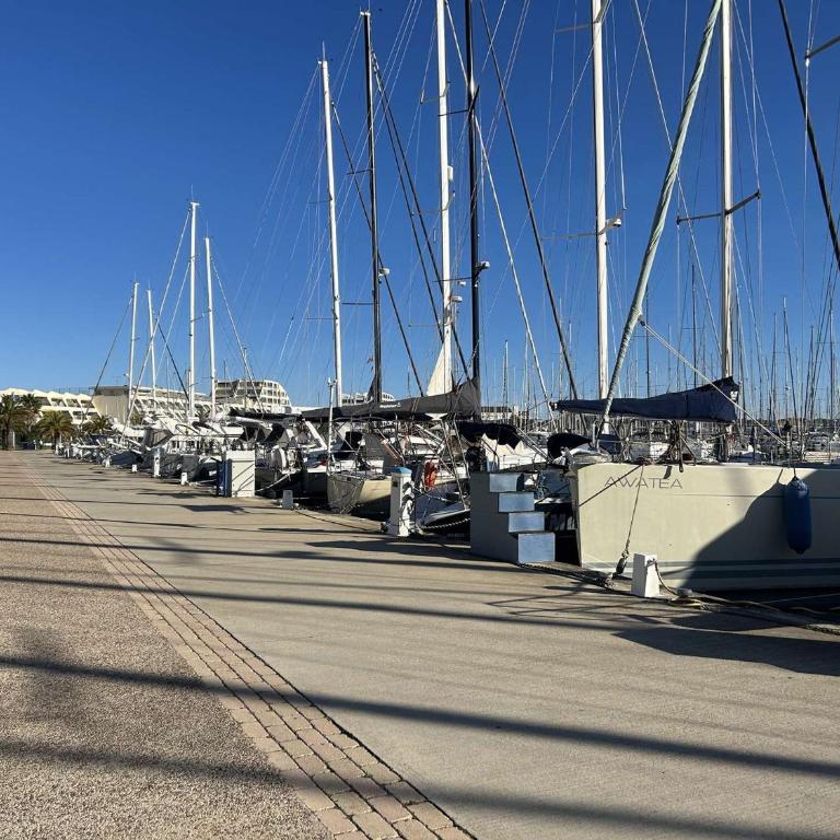 Studio climatisé avec piscine et parking - 4 couchages - Port Camargue - FR-1-250-194 - Appartamento (4 Adulti) - 19