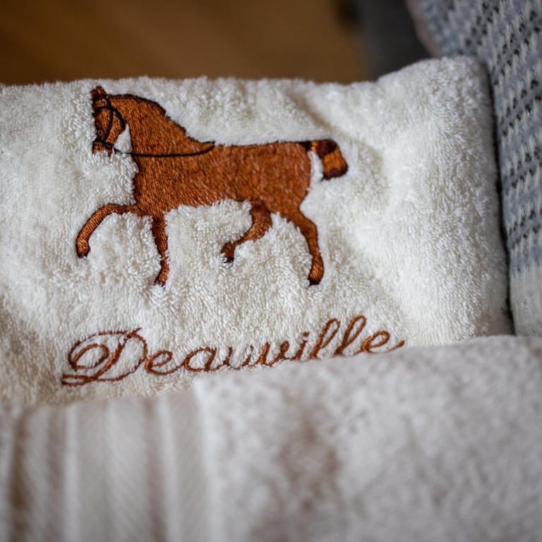 Appartement deauville place Morny non fumeur - Apartment mit 1 Schlafzimmer - 32