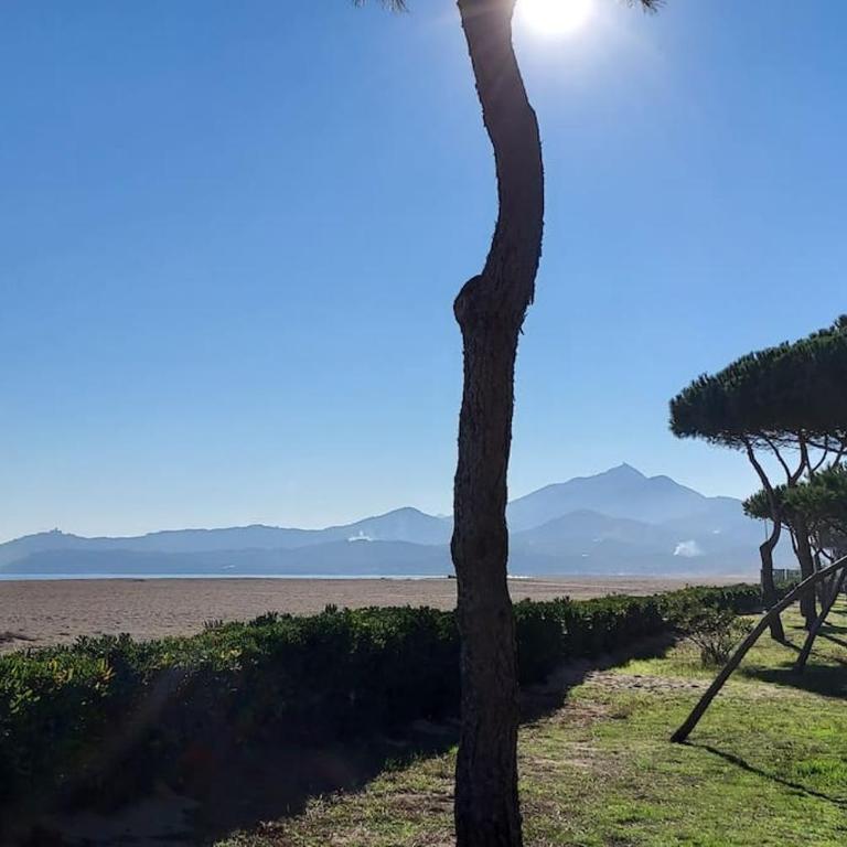 Appartement rénové avec balcon à 100 m de la plage - Appartement 1 Chambre - 1